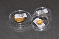 Shell Gold