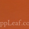 56e06bb0497759972b670776 20260622145506